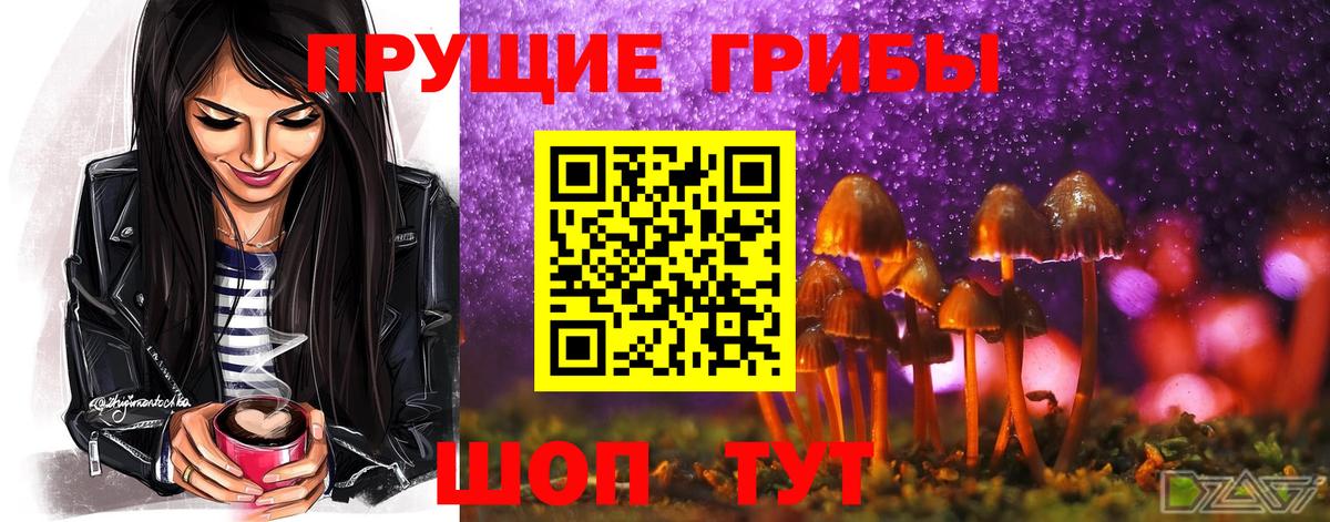 Галлюциногенные грибы прущие грибы Углич